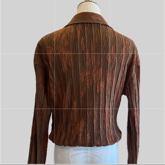 Zara NWOT Cropped Brown and Cinnamon Pleated Long Sleeve Blouse M - Picture 2 of 7